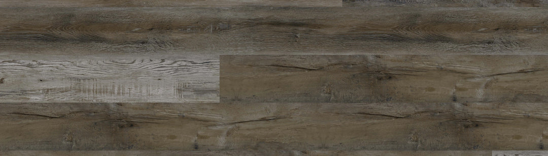 European Ash
