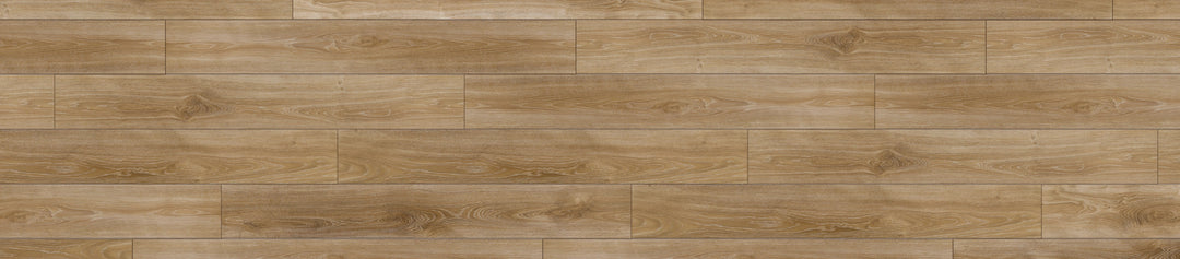 Silver Elm